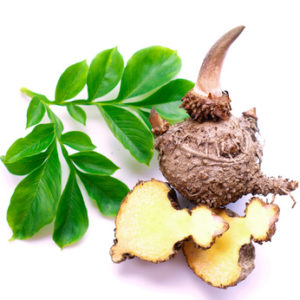 Konja Wurzel und Zweig aus der Glucomannan gewonnen wird.
