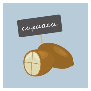 Cupuacu