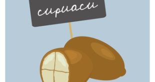 Cupuacu