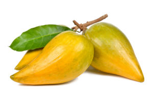 Lucuma Frucht