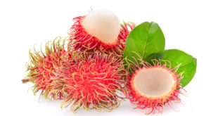Rambutan Frucht und Blatt auf weissem Hintergrund