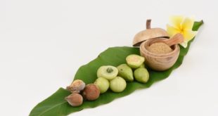 Die 3 Früchte aus denen Triphala hergestellt wird auf einem Bananenblatt mit Moerser.