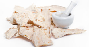Pueraria mirifica Wurzeln auf weissem Grund