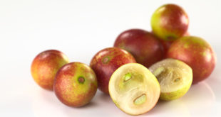 Camu Camu Früchte auf weißem Grund