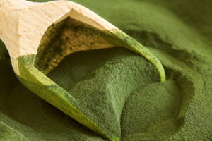 Chlorella Alge Chlorella Alge