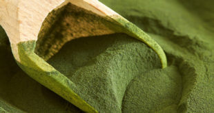Chlorella Pulver mit Holzlöffel