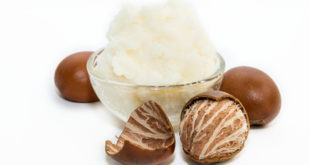 Sheabutter und Nüsse auf weissem Grund