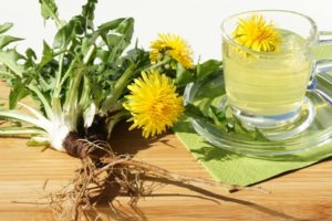 Löwenzahn Tee mit Blüten