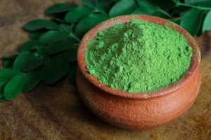 Moringa Oleifera