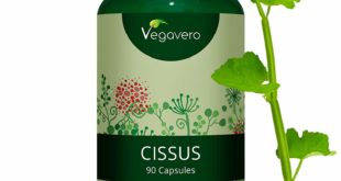 Cissus Kapseln und Dose auf weissem Grund