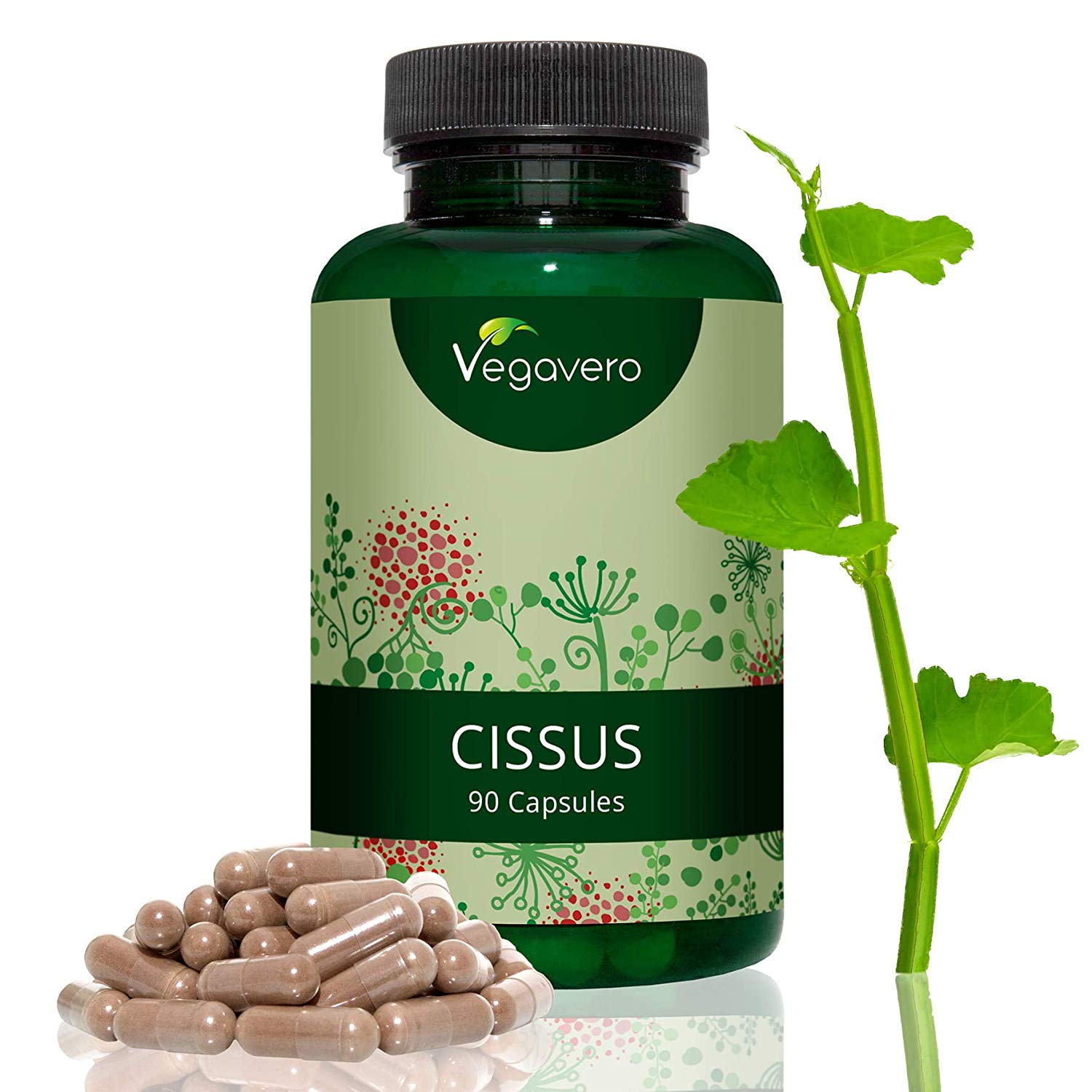 Cissus kaufen: Kapseln, Pulver udn Extrakte - Test 2019