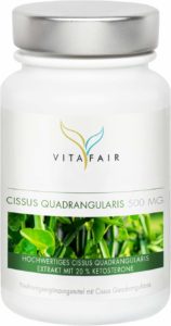 Cissus in weisser Dose
