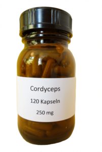 Cordyceps