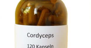 Cordyceps