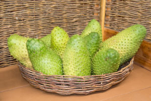 Graviola 