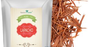 Lapacho Tee kaufen