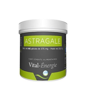 Astragalus kaufen Vital Energie