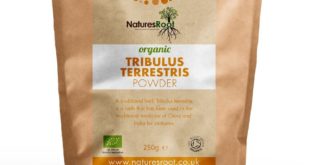 Bio Tribulus terrestris kaufen