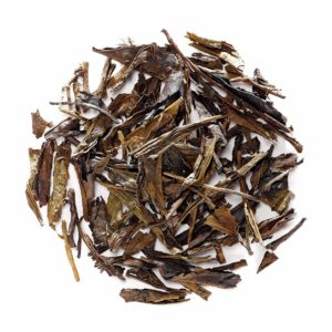 Bancha Tee kaufen