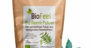 Neem Pulver kaufen