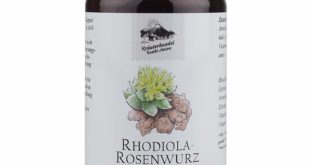 Rosenwurz kaufen