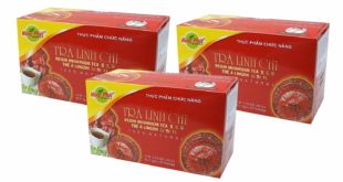 Reishi Tee kaufen