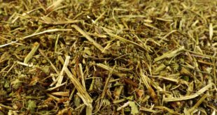 Storchenschnabeltee kaufen